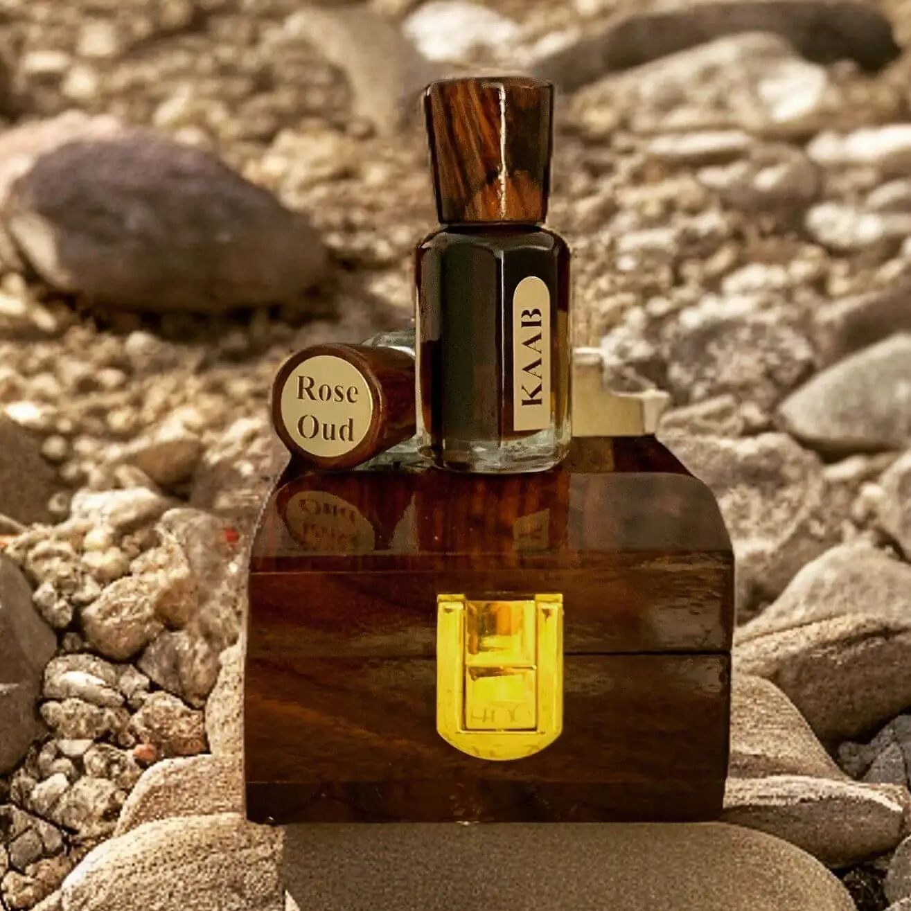 WhatsApp-Image-2024-07-16-at-3.08.57-AM_1_